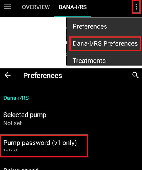 设置 Dana RS 密码