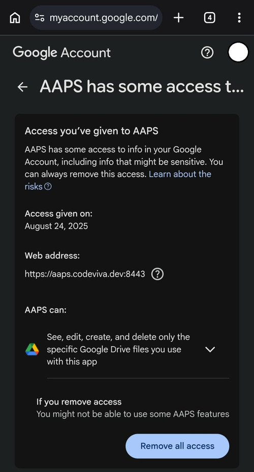 aaps_ci_google_access_3